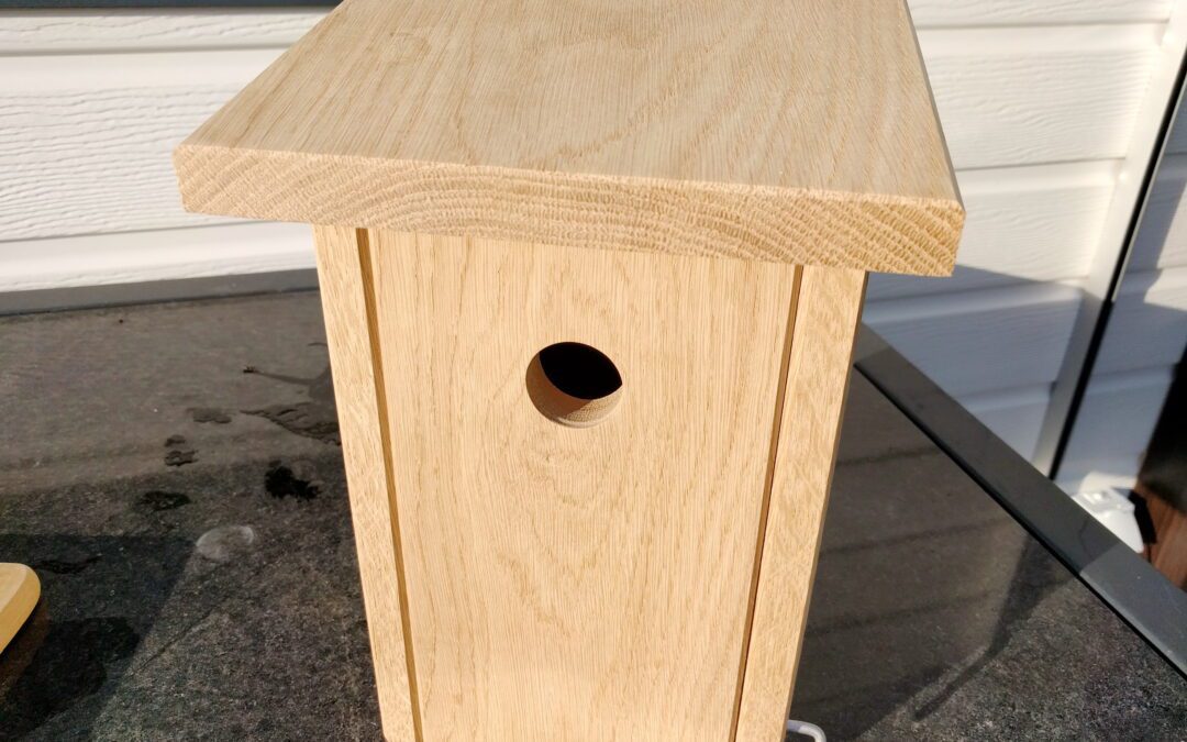 DIY Nistkasten – dein neues Highlight für Garten & Balkon