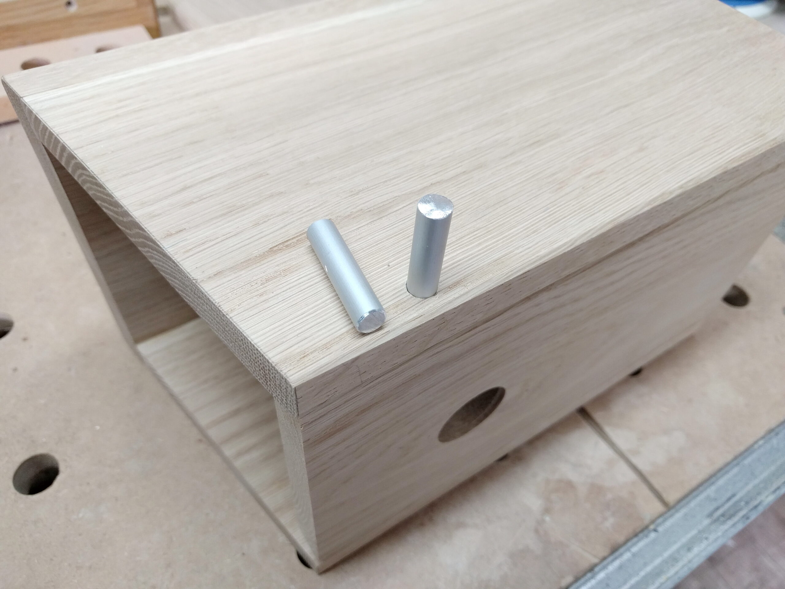 Dübel Nistkasten selber bauen