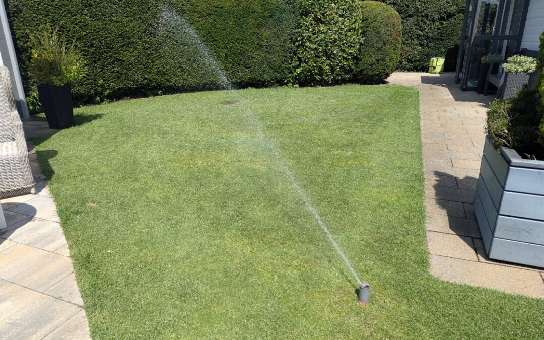 Automatische Gartenbewässerung selber installieren: Tipps und Ideen